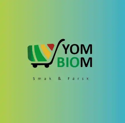 Professional Logo